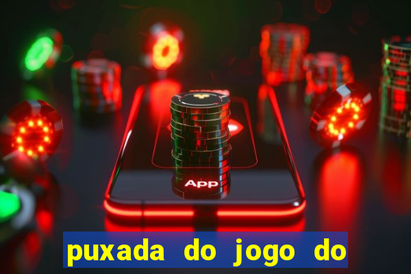 puxada do jogo do bicho da sueli